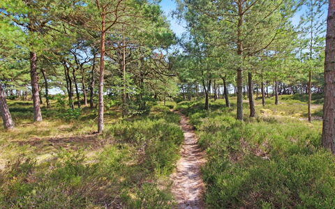 Læff - 50M from the Sea: Legna, Casa, Villetta, Casa, Tetto, Area Rurale, Raccordo, Log Cabin, Edifici Giardino, Latifoglie