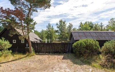 Læff - 50M from the Sea