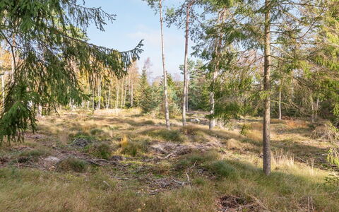 Jaarne - 800M from the Sea: Legna, Casa, Villetta, Casa, Tetto, Area Rurale, Raccordo, Log Cabin, Edifici Giardino, Latifoglie