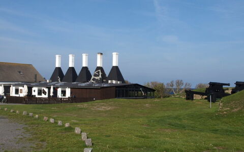 Skoge - 500M from the Sea: Erba, Arbusto, Casa, Giardino, Casa, Villetta, Lotto, Prato, Groundcover