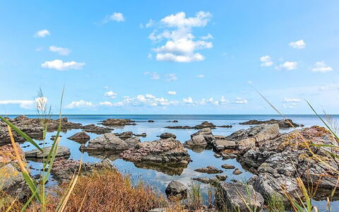 Nyyrikki - 100M from the Sea: Tetto, Casa, Lotto, Casa, Villetta, Estate, Edifici Giardino, Shade, Log Cabin, Landscaping