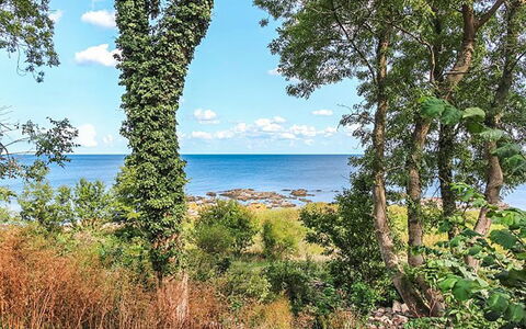 Nyyrikki - 100M from the Sea: Tetto, Casa, Lotto, Casa, Villetta, Estate, Edifici Giardino, Shade, Log Cabin, Landscaping