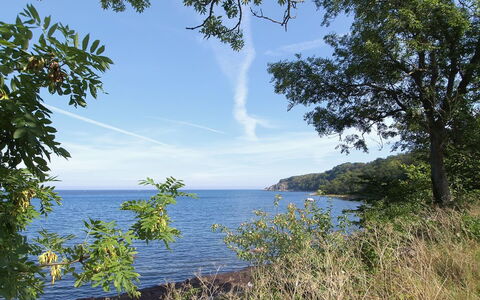 Alfred - 25M from the Sea: Casa, Villetta, Portico, Raccordo, Agriturismo, Struttura Esterna