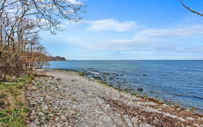 Alfred - 25M from the Sea
