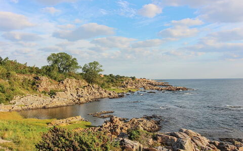 Thorsten - 500M from the Sea: Legna, Casa, Villetta, Casa, Tetto, Area Rurale, Raccordo, Log Cabin, Edifici Giardino, Latifoglie