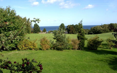 Spurgh - 250M from the Sea: Legna, Casa, Villetta, Casa, Tetto, Area Rurale, Raccordo, Log Cabin, Edifici Giardino, Latifoglie