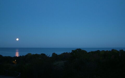Iikka - 300M from the Sea: Legna, Casa, Villetta, Casa, Tetto, Area Rurale, Raccordo, Log Cabin, Edifici Giardino, Latifoglie