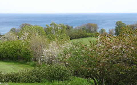 Iikka - 300M from the Sea: Legna, Casa, Villetta, Casa, Tetto, Area Rurale, Raccordo, Log Cabin, Edifici Giardino, Latifoglie