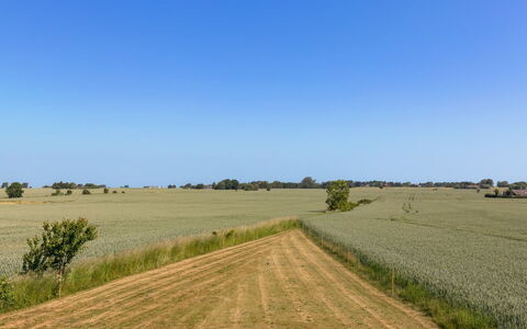 Nilia - 3.5Km from the Sea: Legna, Tetto, Architettura, Casa, Casa, Villetta, Raccordo, Latifoglie, Pendenza, Estate