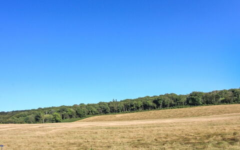 Rask - 3Km from the Sea: Legna, Casa, Villetta, Casa, Tetto, Area Rurale, Raccordo, Log Cabin, Edifici Giardino, Latifoglie