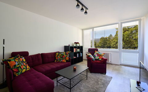 Harrachov 582: Mobilia, Proprietà, Divano, Tavolo, Interior Design, Finestra, Pianta Della Casa, Soggiorno, Legna, Pavimento