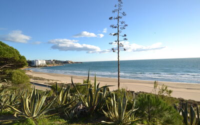 Salou 705: Acqua, Cielo, Proprietà, Albero, Costruzione, Piscina, Azzurro, Corpo D'Acqua, Tempo Libero, Urban Design