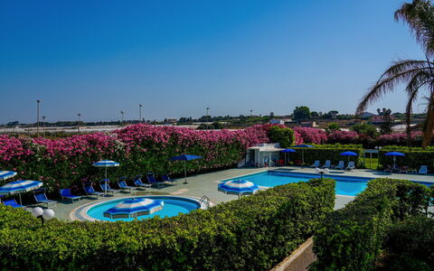 Baraka Apartments: Blu, Giardino, Landscaping, Prato, Hedge, Ricorrere, Piscina, Parco, Giardino Botanico