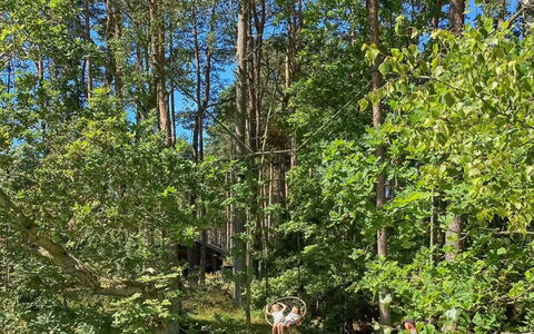 Meret - 800M from the Sea: Foglia, Albero, Ambiente Naturale, Legna, Vegetazione, Ramo, Foresta, Comunita 'Impianto, Giungla, Tronco