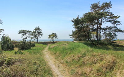 Essi - 300M from the Sea