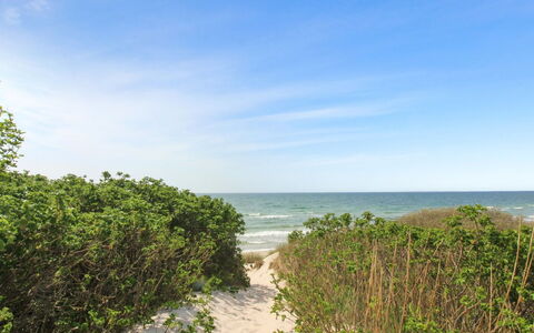 Aave - 800M from the Sea: Legna, Casa, Villetta, Casa, Tetto, Area Rurale, Raccordo, Log Cabin, Edifici Giardino, Latifoglie