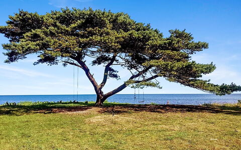 Anemette - 100M from the Sea: Blu, Ramo, Orizzonte, Ecoregione, Costa, Costiera E Morfologie Oceanic, Tronco, Mare, Riva, Oceano