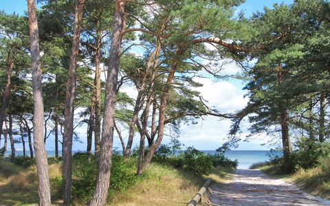 Ignat - 175M from the Sea: Legna, Casa, Villetta, Casa, Tetto, Area Rurale, Raccordo, Log Cabin, Edifici Giardino, Latifoglie