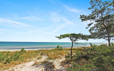 Yrja - 150M from the Sea
