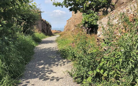 Maike - 200M from the Sea: Arbusto, Urban Design, Groundcover, Brick, Appartamento, Estate, Muratura, Balcone, Landscaping