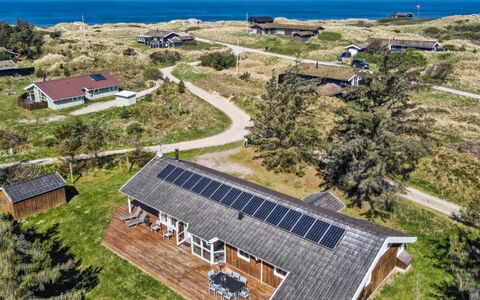 Aleta - 500M from the Sea: Comunita 'Impianto, Luce Del Sole, Pianta Erbacea, Giardino, Piantagione, Agricoltura, Azienda Agricola