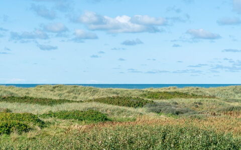 Anne - 100M from the Sea: Blu, Cielo, Erba, Ambiente Naturale, Pascolo, Vegetazione, Orizzonte, Ecoregione, Nube, Paesaggio Naturale