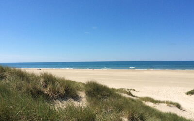 Oskarvine - 900M from the Sea