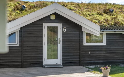 Eddi - 550M from the Sea: Vegetazione, Arbusto, Primavera, Villetta, Giardino, Shade, Backyard, Cortile, Sedia