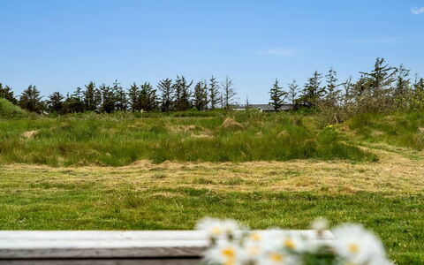 Tera - 600M from the Sea: Erba, Pascolo, Lotto, Villetta, Area Rurale, Prato, Edifici Giardino, Giardino, Capannone