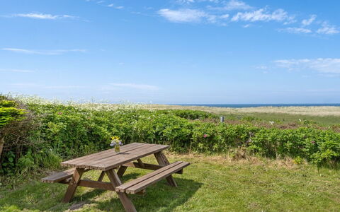 Marit - 150M from the Sea: Comunita 'Impianto, Luce Del Sole, Pianta Erbacea, Giardino, Piantagione, Agricoltura, Azienda Agricola
