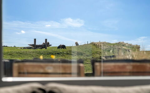 Trifun - 50M from the Sea: Comunita 'Impianto, Luce Del Sole, Pianta Erbacea, Giardino, Piantagione, Agricoltura, Azienda Agricola