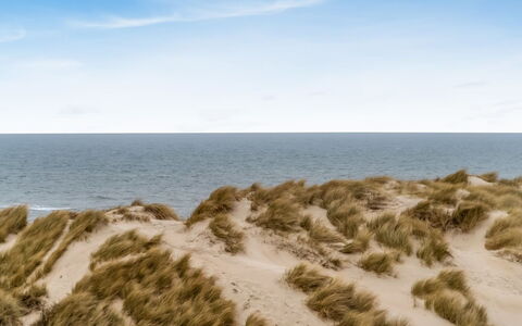 Radica - 50M from the Sea: Blu, Ambiente Naturale, Sabbia, Ecoregione, Orizzonte, Spiaggia, Costa, Mare, Riva