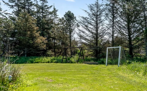 Brunetta - 800M from the Sea: Erba, Albero, Pascolo, Lotto, Plain, Prato, Tronco, Prato, Giardino