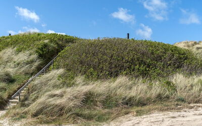 Abbie - 10M from the Sea