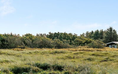 Marino - 480M from the Sea