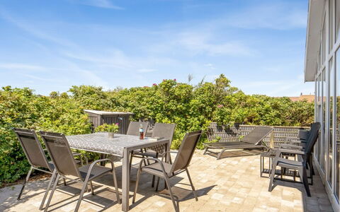 Telse - 375M from the Sea: Comunita 'Impianto, Luce Del Sole, Pianta Erbacea, Giardino, Piantagione, Agricoltura, Azienda Agricola