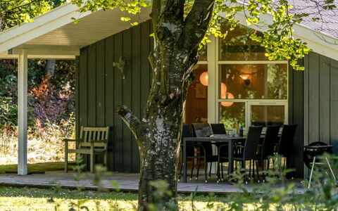 Ninetta - 650M from the Sea: 