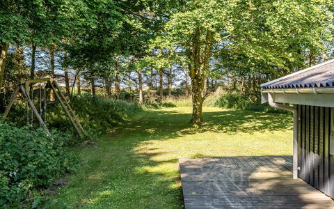 Ninetta - 650M from the Sea: 