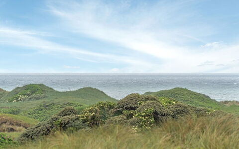 Viktoria - 400M from the Sea: Cielo, Blu, Verde, Erba, Nube, Orizzonte, Vegetazione, Paesaggio Naturale, Collina, Highland