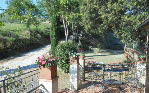 Casa Mulinello: Pianta, Fiore, Albero, Vaso Di Fiori, Mobili Da Esterno, Shade, Pianta Della Casa, Erba, Tavolo Esterno, Tempo Libero
