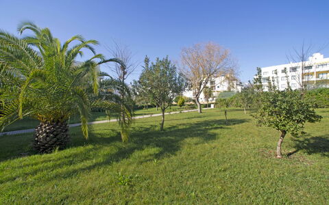 Garden Place: Acqua, Cielo, Nube, Risorse Idriche, Pianta, Paesaggio Naturale, Azzurro, Ambiente Naturale, Legna, Costiera E Morfologie Oceanic