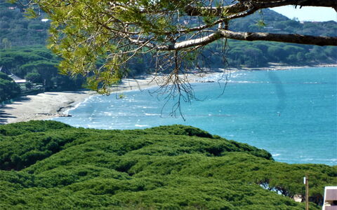Villa Marzia Mare & Golf: Acqua, Risorse Idriche, Pianta, Paesaggio Naturale, Albero, Ramo, Vegetazione, Highland, Lago, Costiera E Morfologie Oceanic