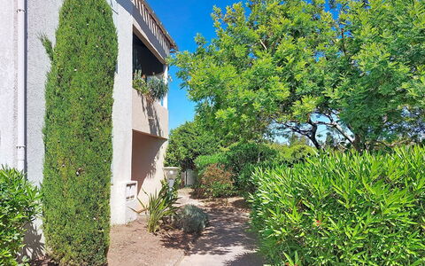Terre Marine: Verde, Foglia, Arbusto, Giardino, Primavera, Hedge, Shade, Landscaping, Sempreverde