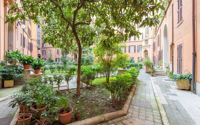 La Casa Dell'Arte