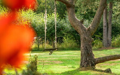 Ariela - 1.1Km from the Sea
