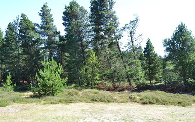 Tirsa - 3.9Km from the Sea