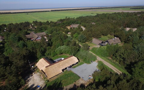 Ellanor - 1Km from the Sea: Paesaggio, Tetto, Lotto, Area Rurale, Plain, Villetta, Visione Globale, Piantagione, Fotografia Aerea, Estate