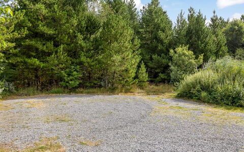 Ellanor - 1Km from the Sea: Erba, Albero, Foglia, Vegetazione, Arbusto, Foresta, Comunita 'Impianto, Natura Selvaggia, Riserva Naturale