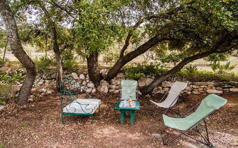 Saint Saturnin D'Apt 105: Albero, Riserva Naturale, Botanica, Woody Impianto, Woodland, Pianta, Erba, Tavolo, Adattamento, Parco Statale