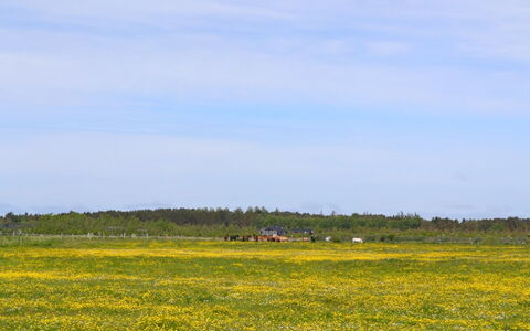 Auti - 2.3Km from the Sea: Erba, Casa, Tetto, Villetta, Casa, Arbusto, Agriturismo, Lotto, Area Rurale